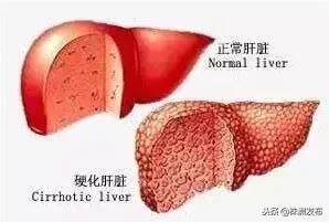 株洲最新司机招聘信息汇总