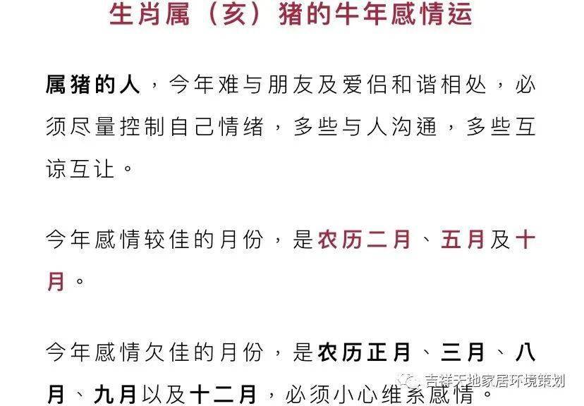 独家九肖,理念解答解释落实_X版71.357