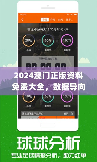 2024新澳门精准免费大全,平衡指导策略_冒险版71.506