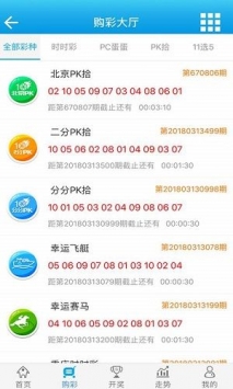 澳门彩免费资料一大全,深度评估解析说明_WP版66.913