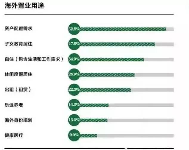 2024新澳门正版免费资本车,数据驱动执行方案_WearOS29.131