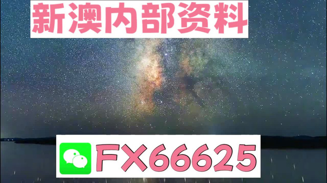 新澳天天彩免费资料2024老,准确资料解释落实_超值版29.956